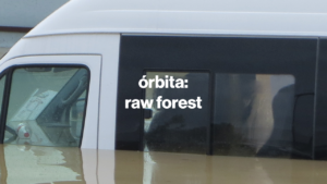 órbita #3 raw forest