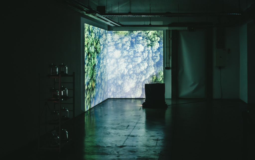 Emma — Master's Exhibition in Media Arts
